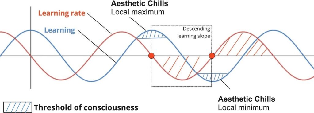 neural correlates of chills seem to depend on the learning rate