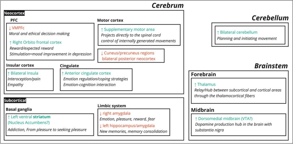 neural correlates of chills are vast and span the cerebrum, cerebellum, and brainstem